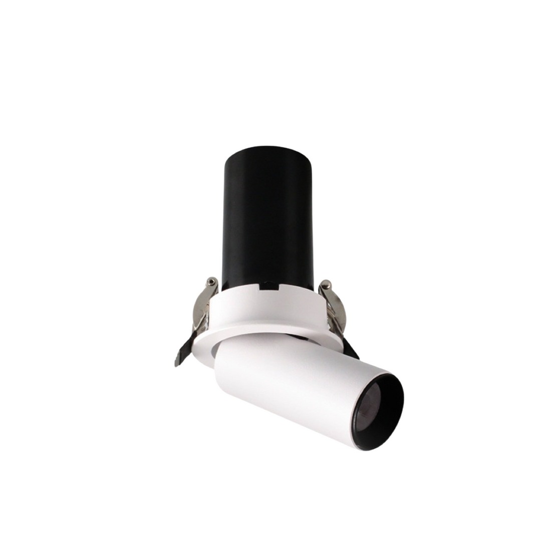 Mini DL10 Ø55 Trimless Multifunction Recessed Spotlight