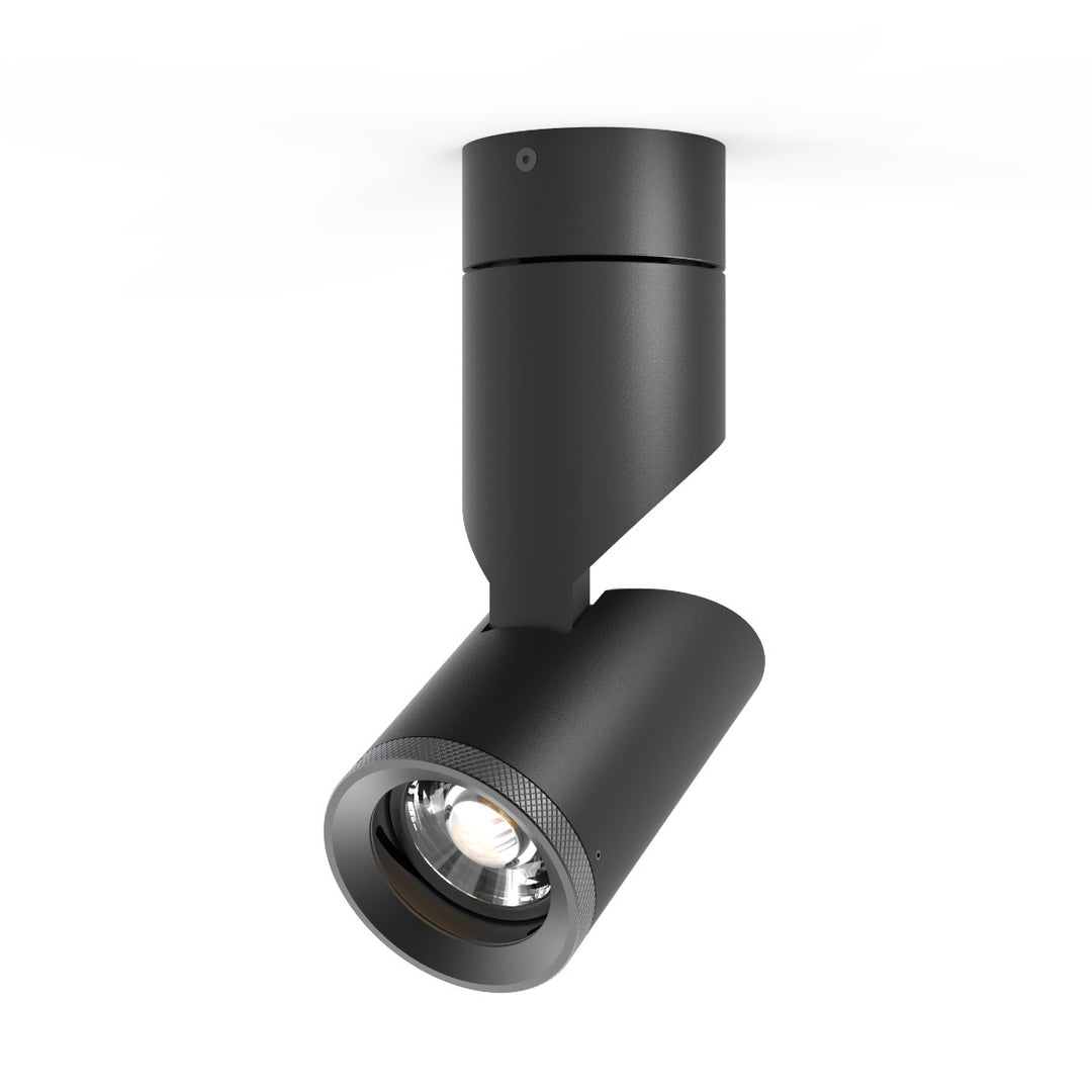 TLF20W Surface-Mounted Spotlight