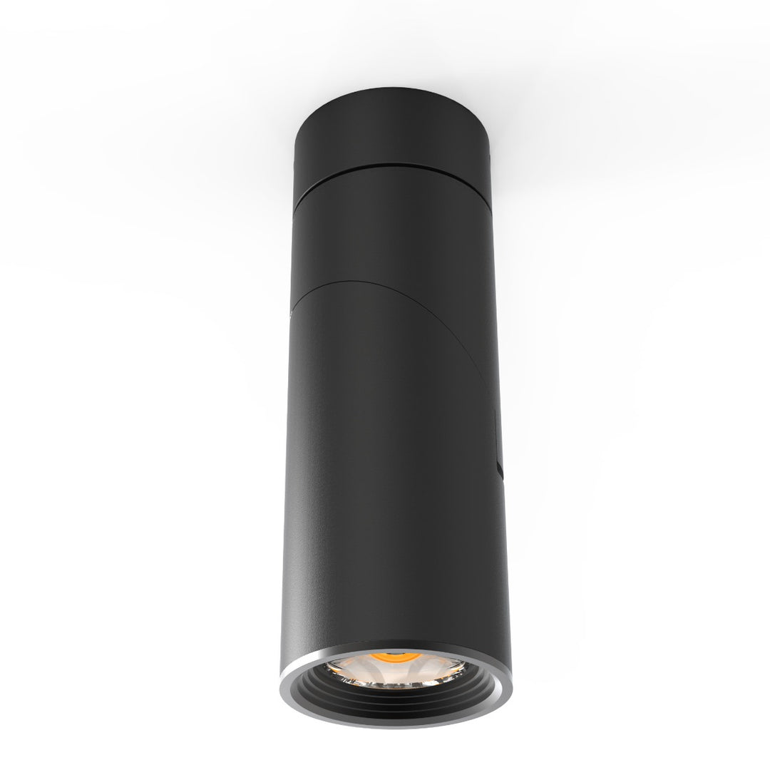 TLF20W Surface-Mounted Spotlight