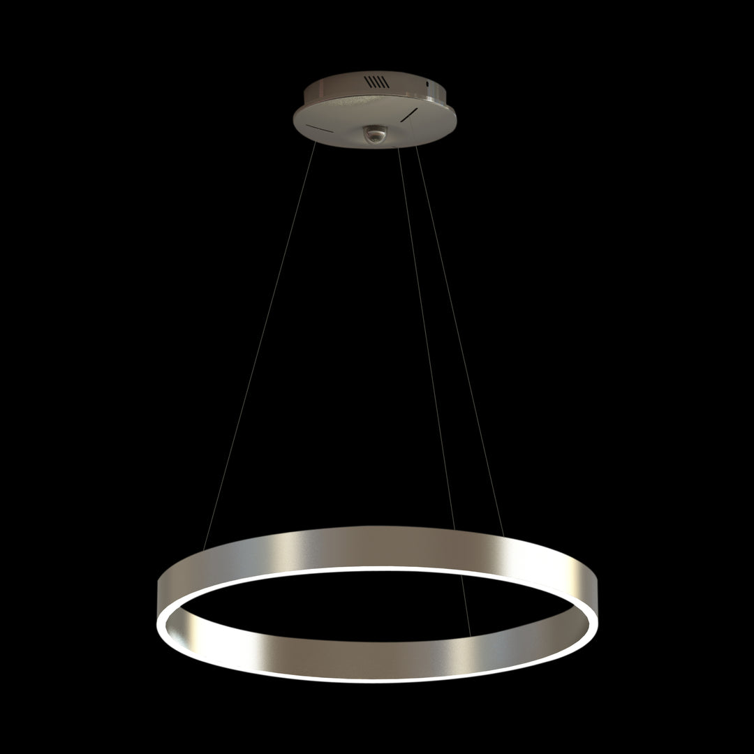 Lucretia Allura Single Ring Pendant Light D