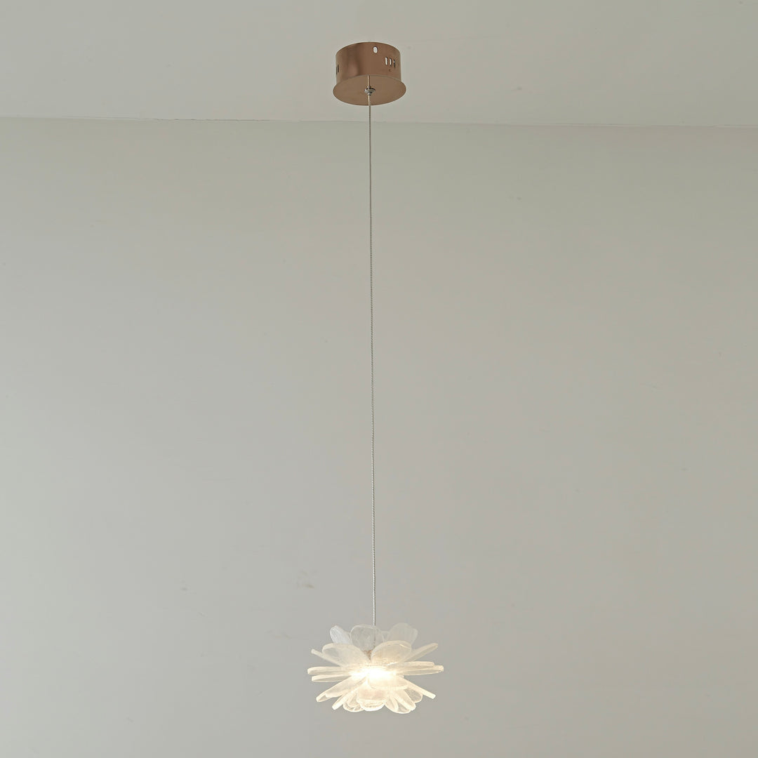 Vivi Custom Pendant light