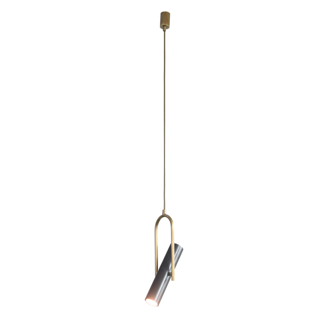 Carter Adjustable Pendant light