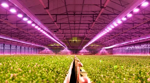 Agricultural Lighting