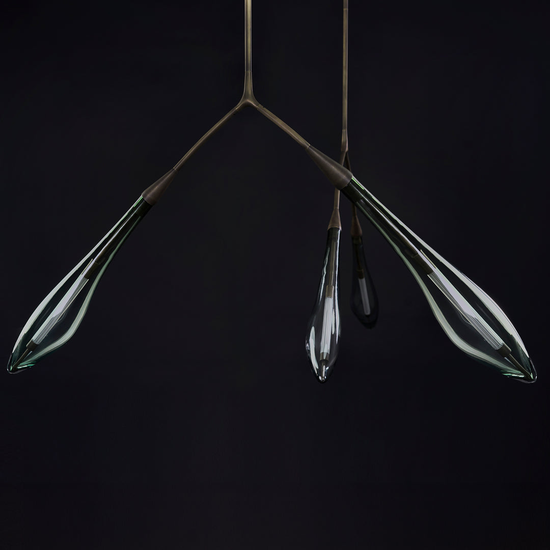 Seed Pendant light