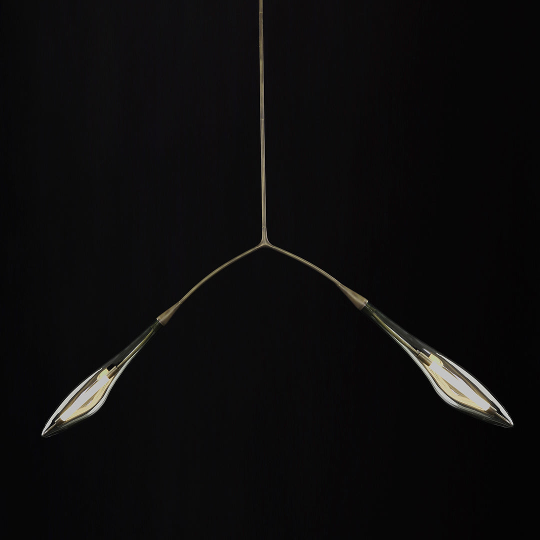 Seed Pendant light