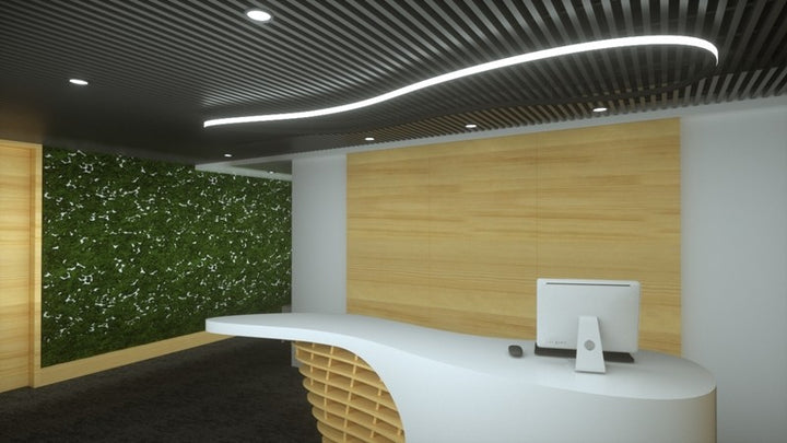 FlexHalo CS35 Inward/Outward Curved LED Linear Light