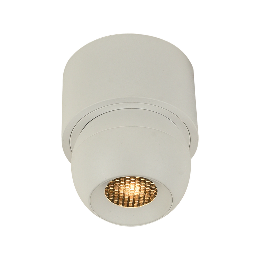 TSR 10 Surface Mounted Spotlight