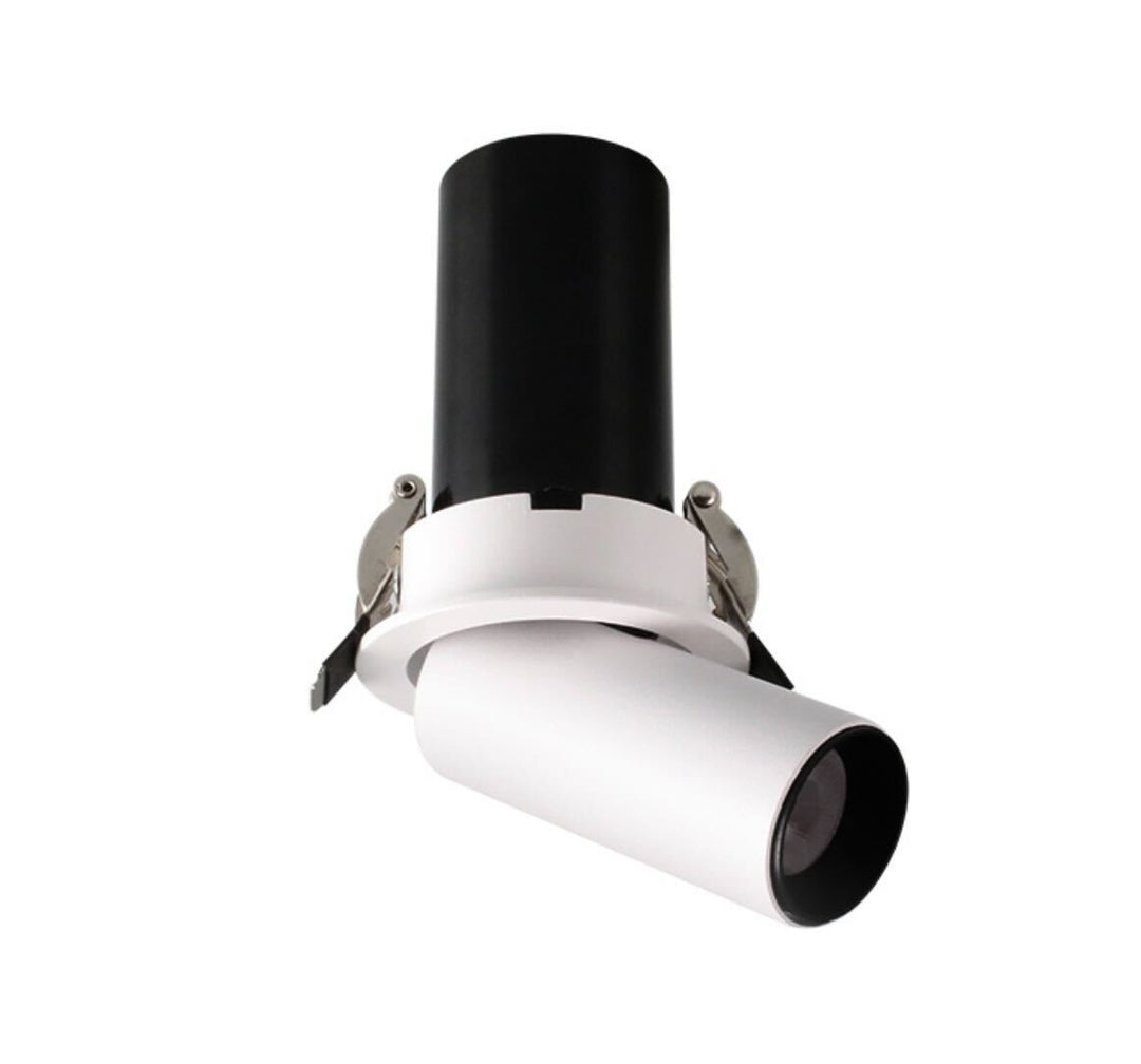 Classic DL10 directional recessed spotlight with adjustable head for artwork and feature lighting