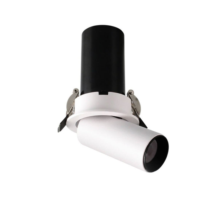 Classic DL10 directional recessed spotlight with adjustable head for artwork and feature lighting