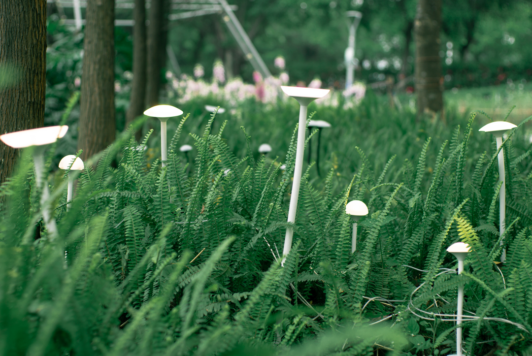 Outdoor mushroom spike lights used for ambient garden lighting