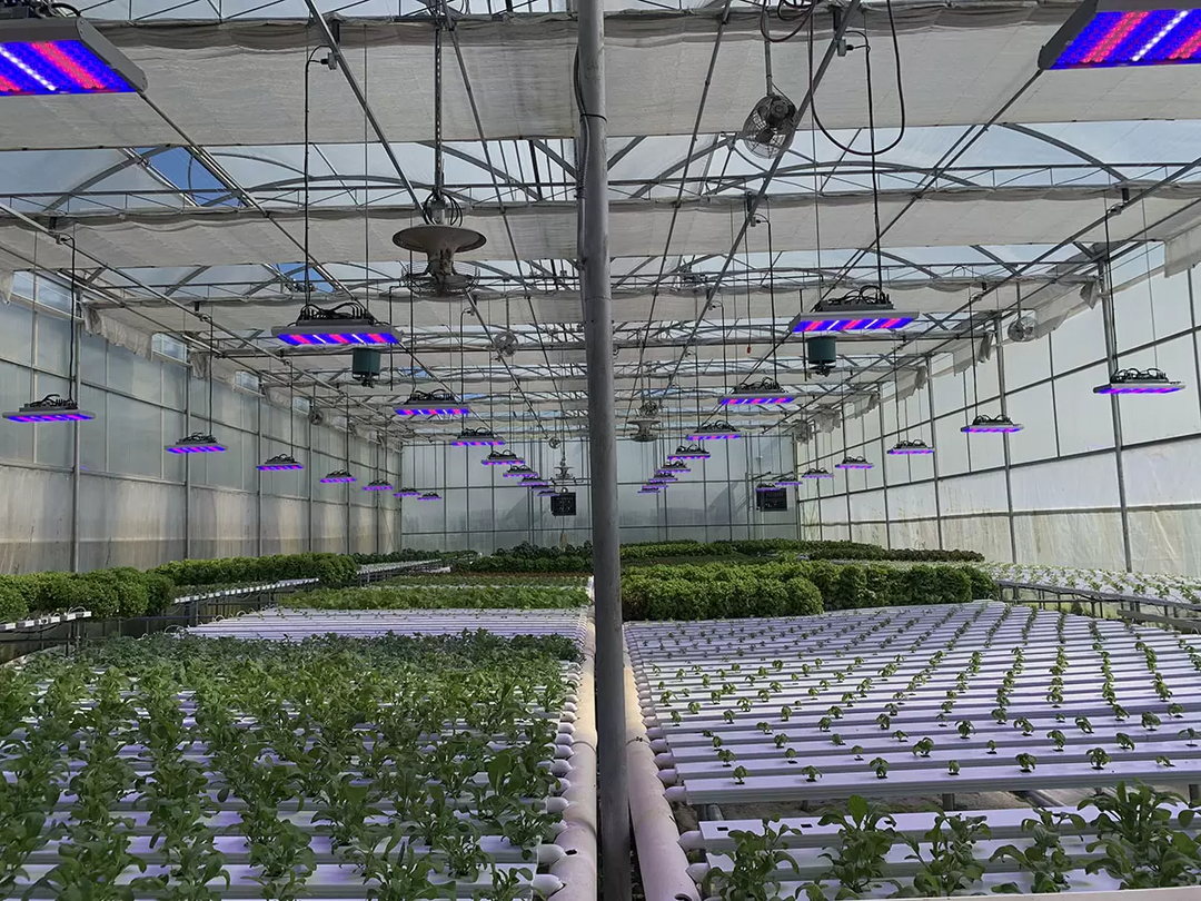LED plant grow lighting system for indoor vertical farming and large-scale plant cultivation