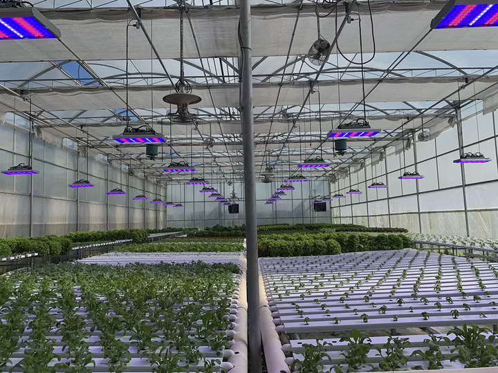 LED plant grow lighting system for indoor vertical farming and large-scale plant cultivation