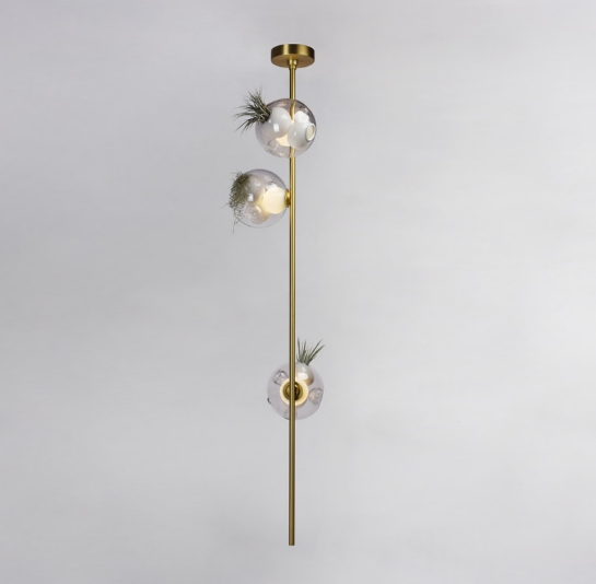 close up of Green Linear Pendant Light showing transparent glass pod with natural greenery in designer biophilic lighting style