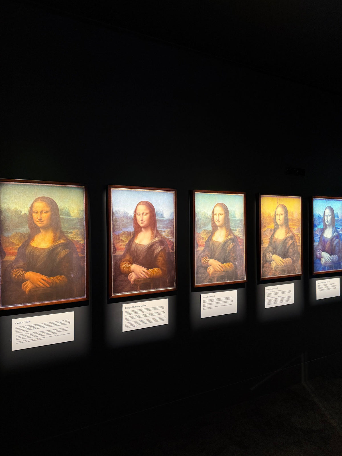 Mona Lisa study panels, close up