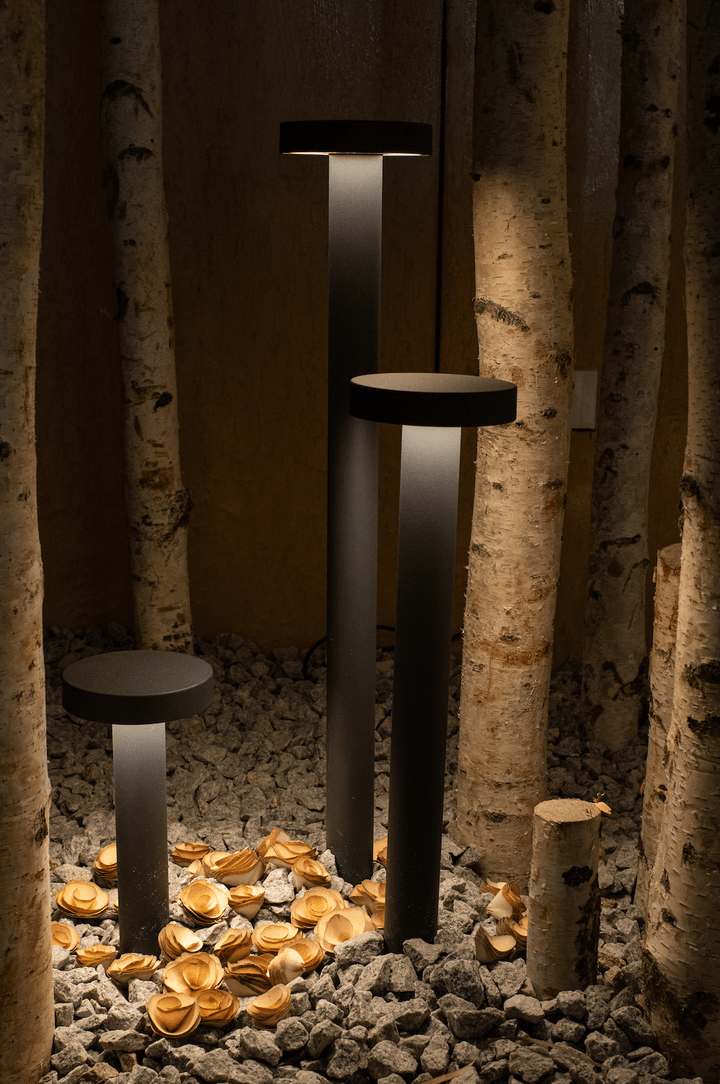 Outdoor bollard lighting IP65 for trees and garden features