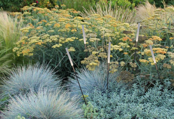 Reed spike lights integrated into landscape planting design as decorative garden features