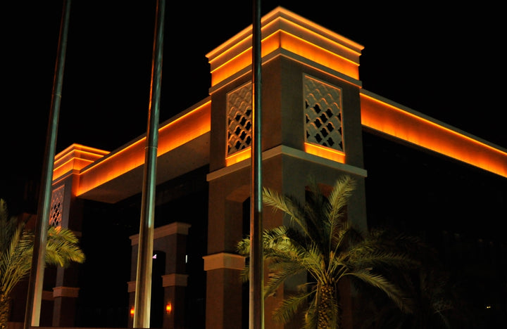 WH156 1010mm Neon LED Flex