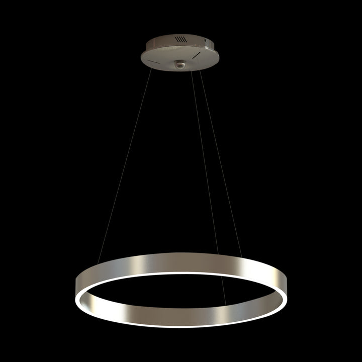 Lucretia Allura Single Ring Pendant Light D