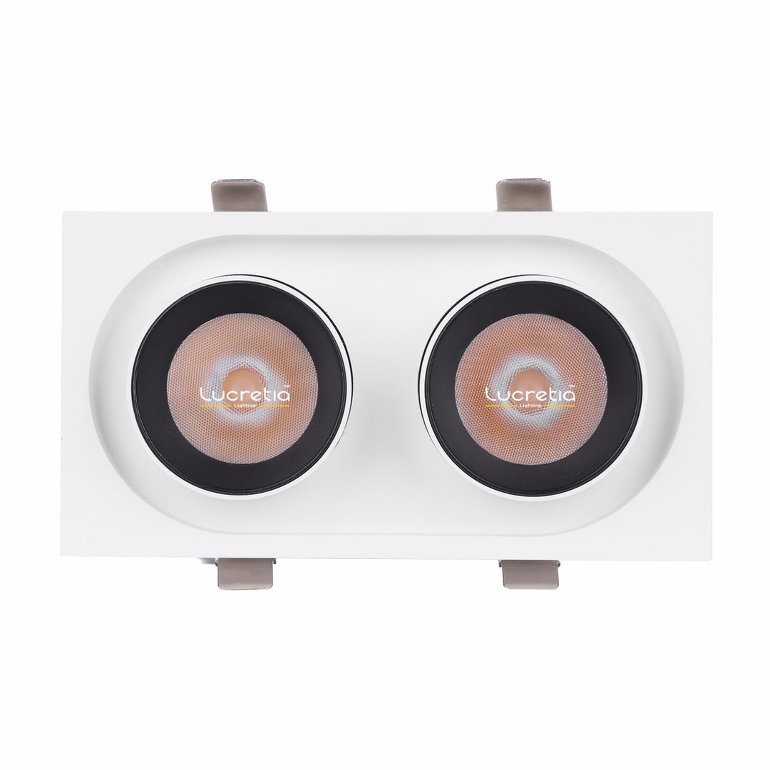 Commercial recessed downlight that converts to adjustable spotlight, ideal for retail stores and exhibition lighting applications